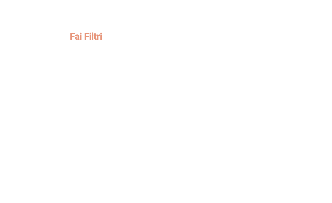 A company for quality Filtration Founded in 1976, Fai Filtri is a healthy Italian company whose general HQ is in Pont   