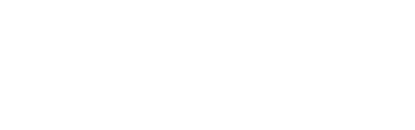 A short Bio about Marino Bertoli Marino Bertoli is CEO and Main Shareholder of Faro Bearings  Strenuous knowledge sup   