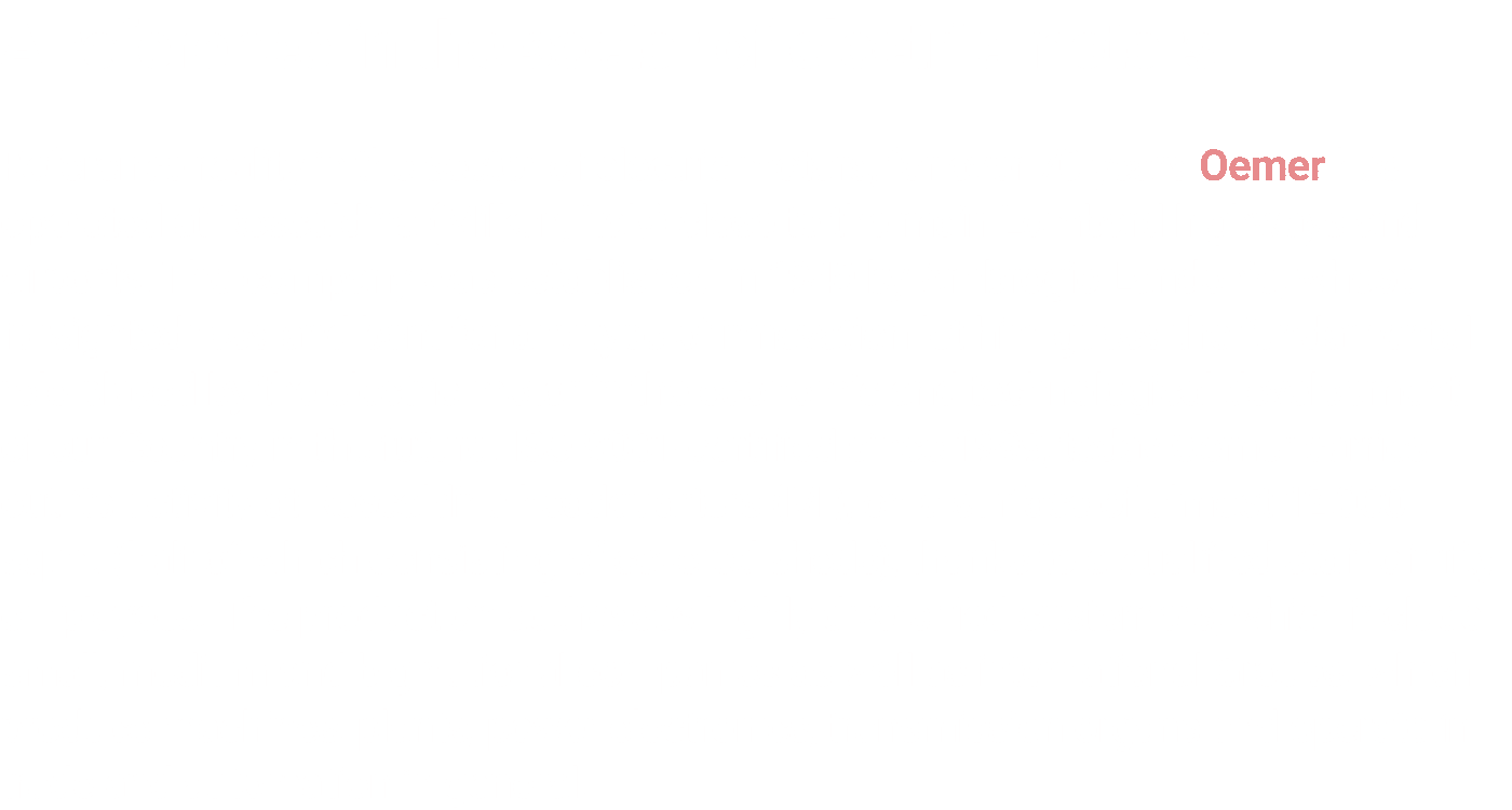 A reference in the sector of electric motors Reference reality in the sector of electric motors, for over 70 years Oe   