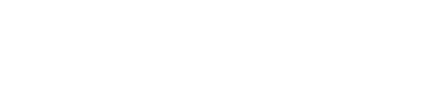 Airflow rate chart (Nl s) at different vacuum degrees (-Kpa), at the optimal supply pressure of the MSVE 20 vacuum ge   